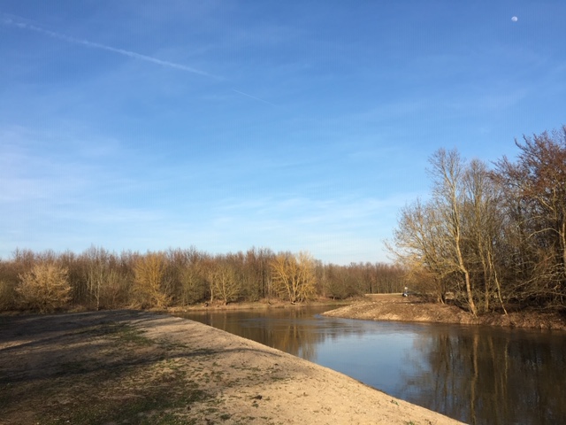 Entlang vom Altarm Richtung Osten, Foto: R. Brandstetter Entlang vom Altarm Richtung Osten, Foto: R. Brandstetter