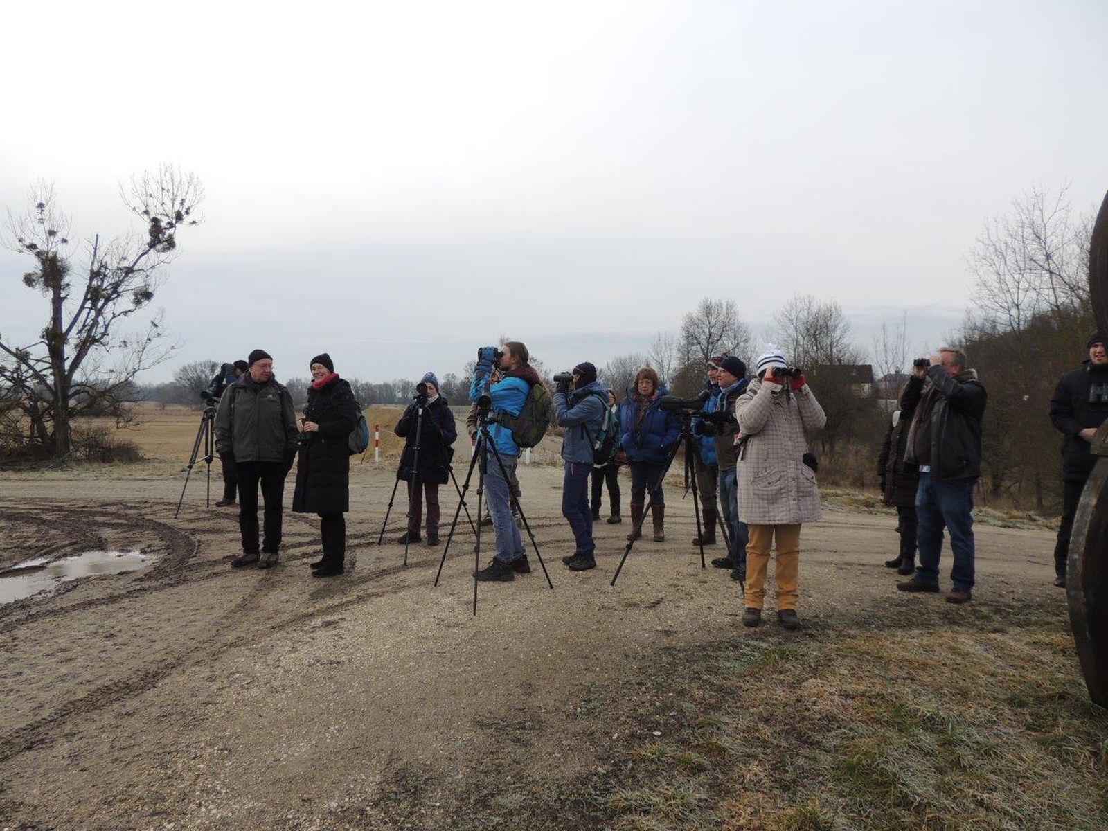 Adler Exkursion: von Rabensburg nach Hohenau, Foto: U. Nüsken