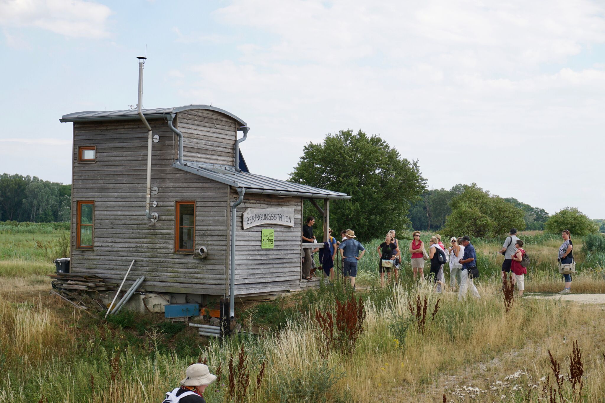 Wanderung zur Beringungsstation Wanderung zur Beringungsstation