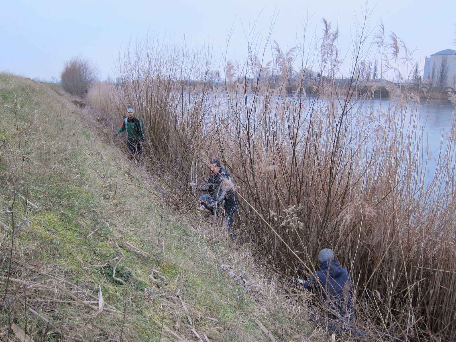 Freiwillige Helfer im Einsatz, Foto: R. Brandstetter Freiwillige Helfer im Einsatz, Foto: R. Brandstetter