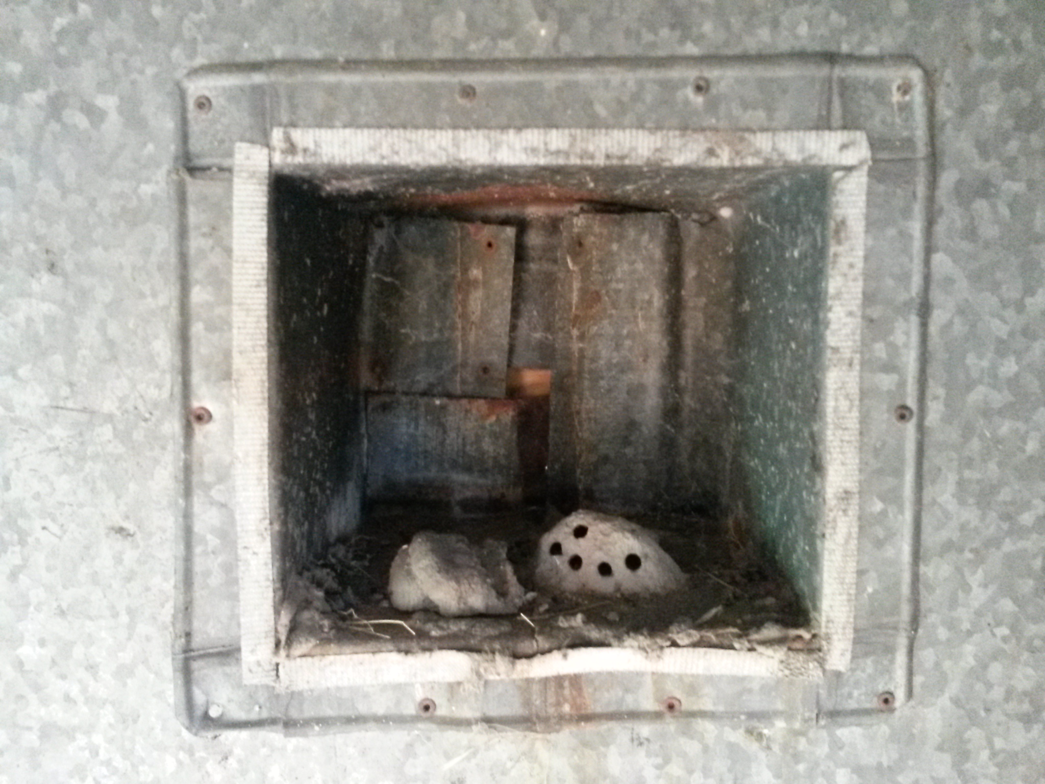 Im Vogelkiek, Foto: R. Brandstetter Im Vogelkiek, Foto: R. Brandstetter