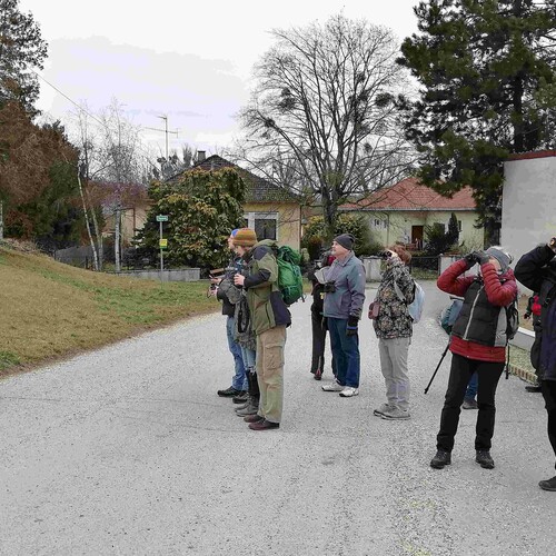 Exkursion Rabensburg, Foto: U. Nüsken