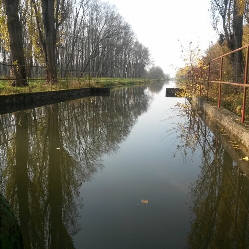 Im Reinwasserkanal ist es auch ruhig. Foto: Auring