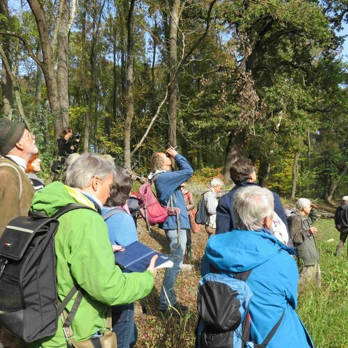 NÖ Naturschutztag,  Foto: G. Pfundner