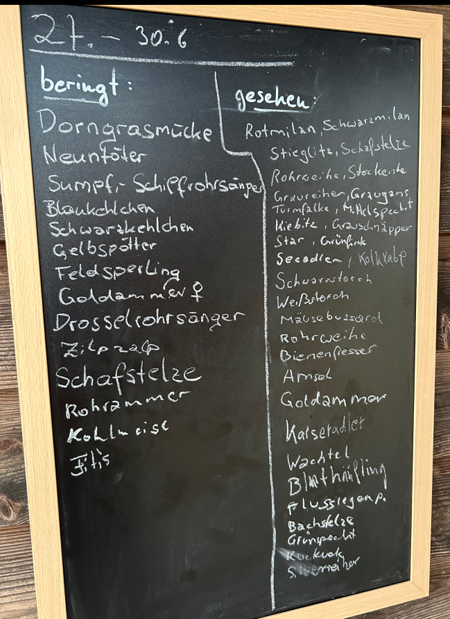 Tafel vom 27. bis 30. 6.25, Foto: Auring