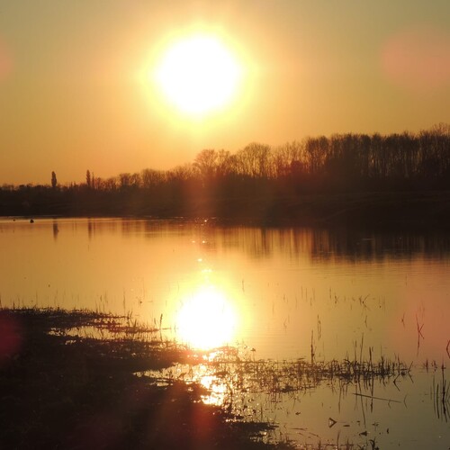 Sonnenaufgang an den vogel.schau.plätzen, Foto: U.Nüsken