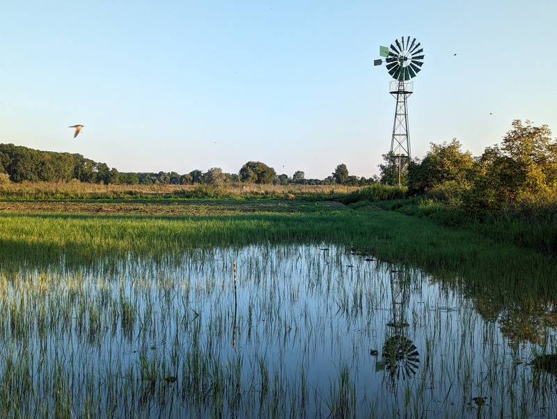 Die Windkraftpumpe, Foto: Auring