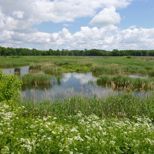 Anlandebecken 3, Foto: Auring